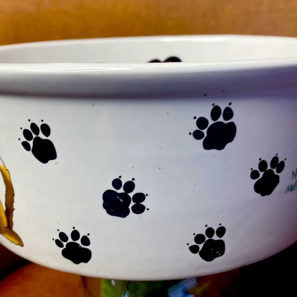 Ceramic Large Dog Bowl